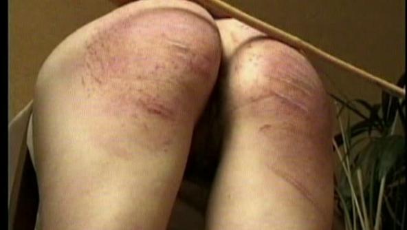 Canus On My Anus Clip One  320x240 wmv